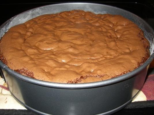 chocolate chip brownie cake