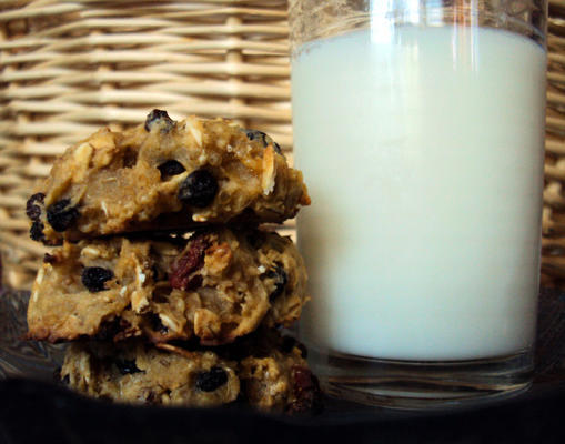 multigrain examenkoekjes (hoog energie / gezond)