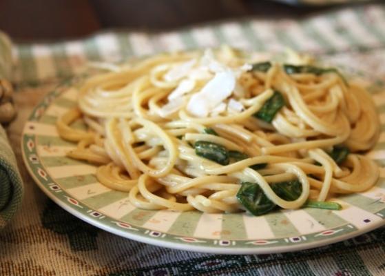 spaghetti met kokospinazie