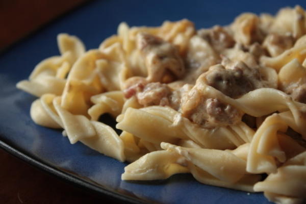 de favoriete beef stroganoff van jesse