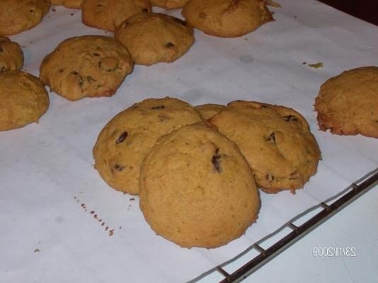 pompoen-pecan chocoladeschilferkoekjes