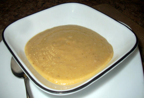 crock potaardappel en prei soep (vichyssoise)