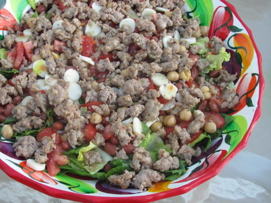 pittige gemengde salade met Italiaanse worst