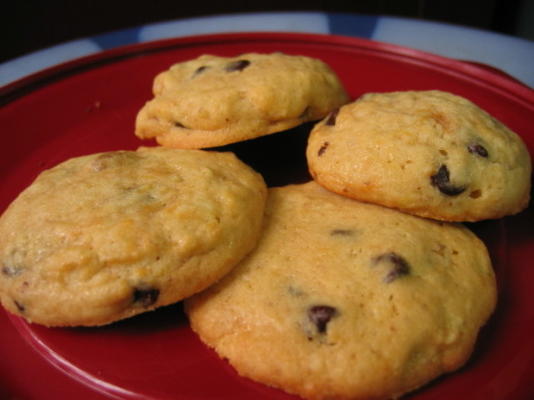 alle volwassen chewy chocolate chip cookies