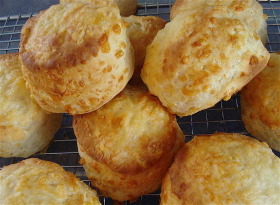 serieus sterke scottish cheese scones