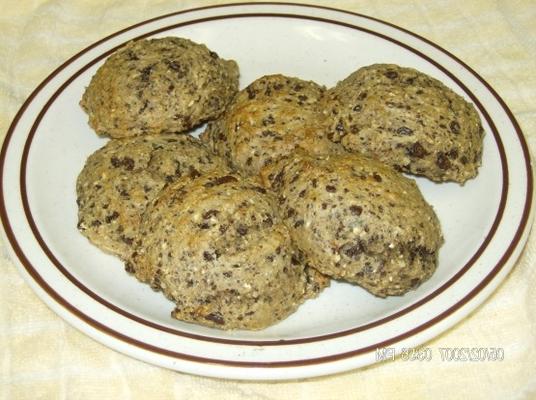 magere volkoren chocoladeschilferkoekjes