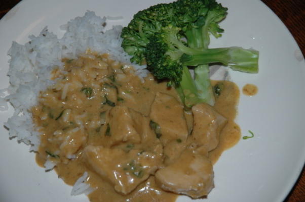todd's chicken curry in Thaise stijl