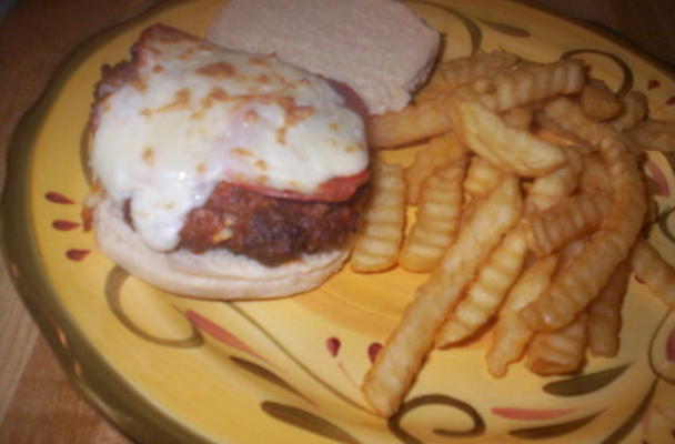 pizza hamburger