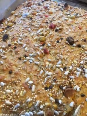 gezond birdiebrood voor papegaaien