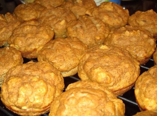 eiwit pompoen vlas mini-broden of muffins