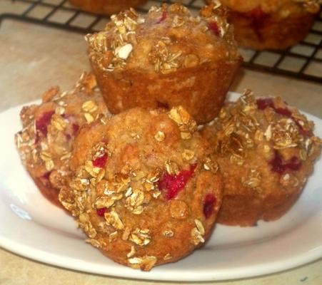 kantaloep cranberry muffins