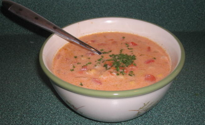 kokosnoot kikkererwtensoep, met tomatenbrokken en gefrituurde komijn