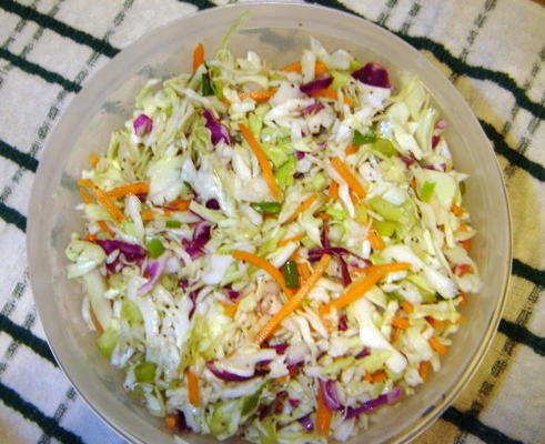 mijn favoriete pittige koolsalade