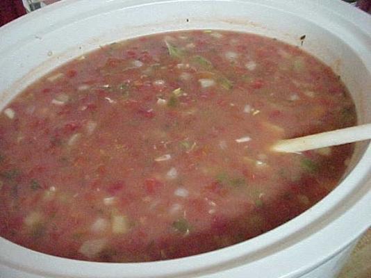 crock pot manhattan tweekleppig schelpdierensoep