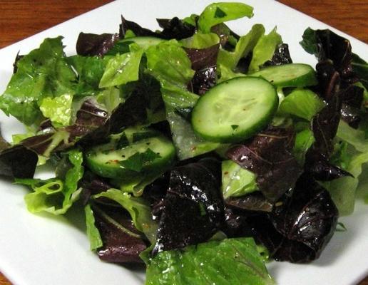 romaine en radicchio salade met komkommer