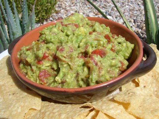 guacamole perezoso