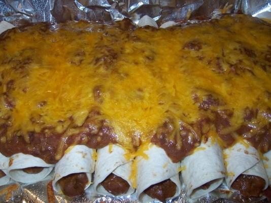 Gemakkelijke enchiladas van 15 minuten