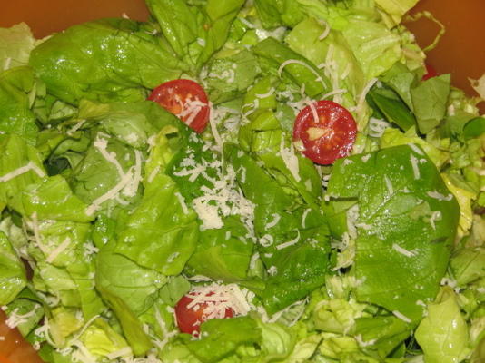 Zondags gezonde parmezaan tuin salade