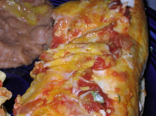 kaas enchiladas - oamc ww