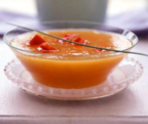 ijstong tomatensoep