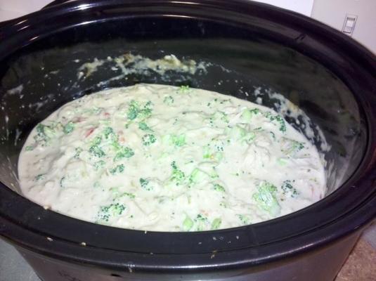 gewicht watchers crock pot kip alfredo remake