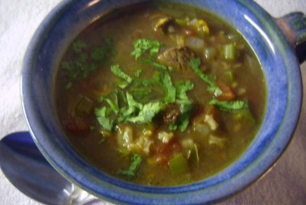rundvlees en rijst soep, Mexicaanse stijl