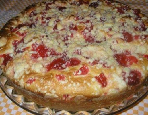 Duitse vers fruit kuchen (broodmachine)