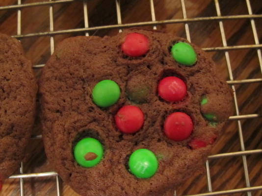 vakantie dubbele chocolade koekjes