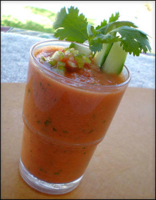 de definitieve gazpacho