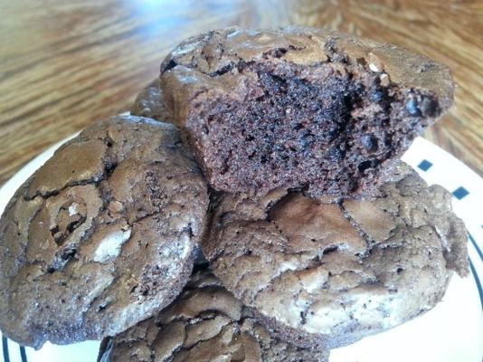 glutenvrij, zuivelvrij, taaie brownies (crackly tops)