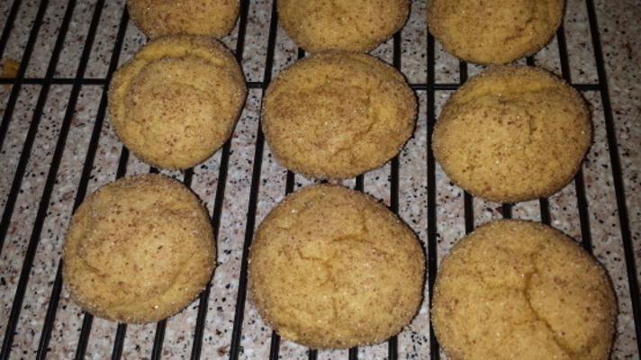 pompoentaart snickerdoodle koekjes