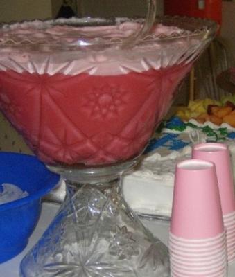 feest yum punch