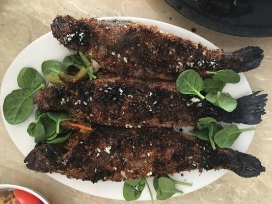tarwezemelen oven gegrilde vis