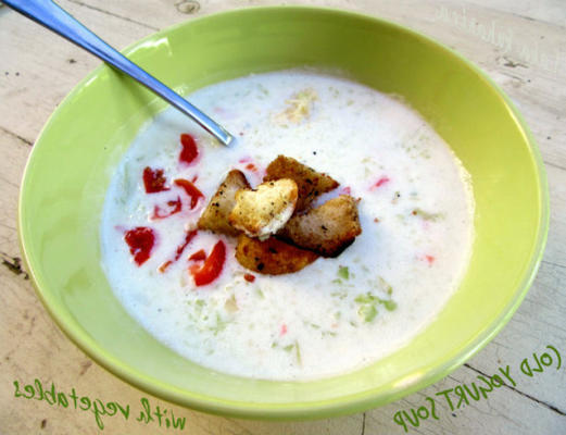 koude yoghurt soep met groenten