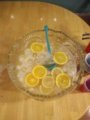 gin champagne punch