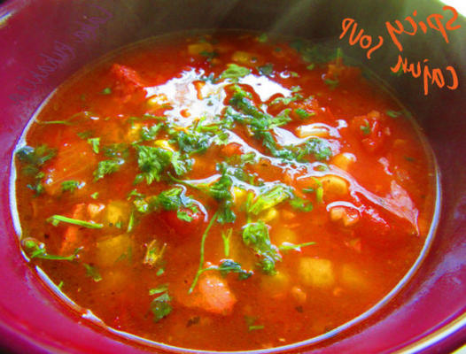 pittige cajun-soep