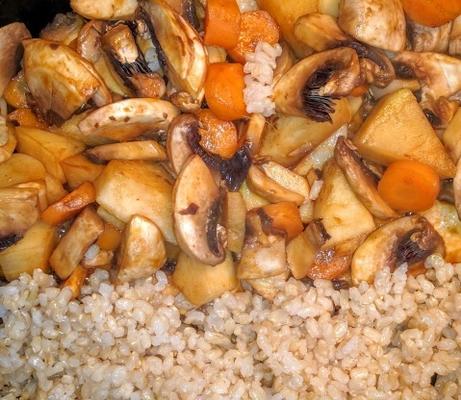 pittige veganistische rijstkom