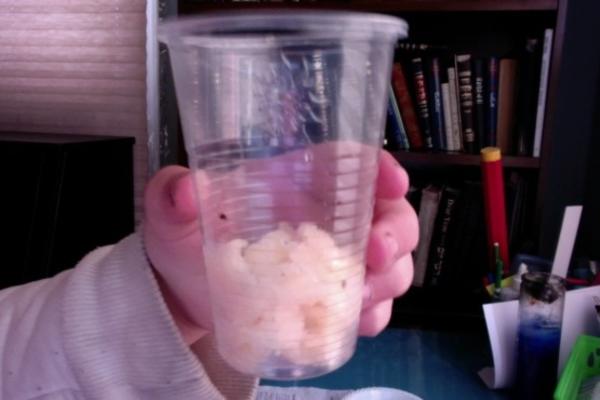 passover sorbet