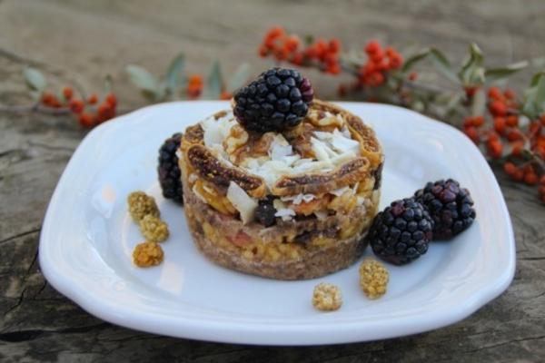 rauwe apfelstrudel andndash; graan en glutenvrij