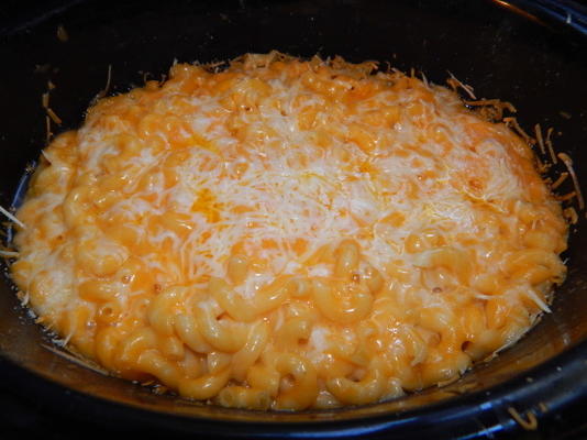 macaroni en cheddar / parmezaanse kaas