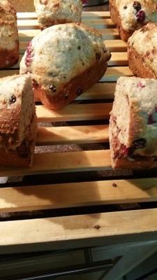 cranberry chocolate chip muffins