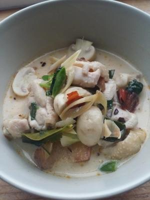 kokossoep met kip, galanga-wortel: tom kha kai