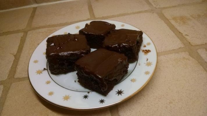 donkere chocoladecakeachtige brownies