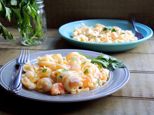 trottole met zeevruchten en gerookte Gouda Alfredo