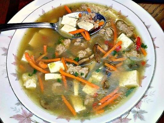 tofu champignonsoep met gemalen varkensvlees