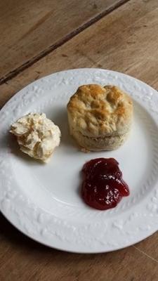 cornish / clotted cream