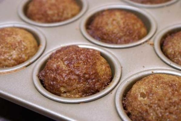 kaneel butternut pompoen muffins