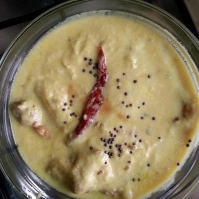 knoedel kadhi