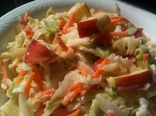 lichte en zure cole slaw (lage mayo)