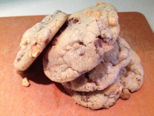 chocolate chip en cashew gourmet cookies